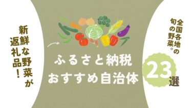 新鮮な野菜セットが返礼品のふるさと納税おすすめ自治体23選！